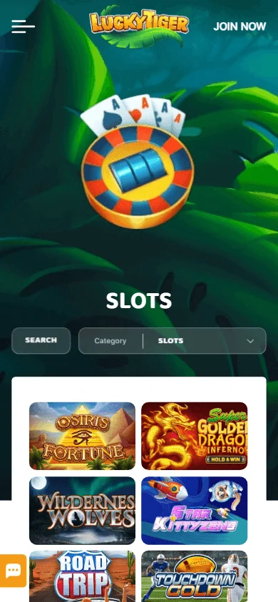 Lucky Tiger Casino game library on a mobile device